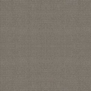 PORTOFINO by Shaw Floors - London Fog