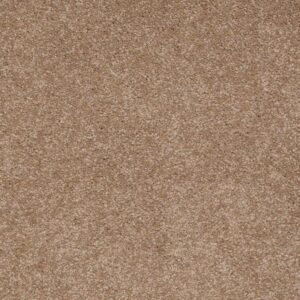 CORNER CAFE 12' by Shaw Floors - Mojave
