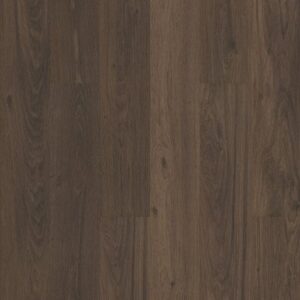 Praxis Plank by Shaw Floors - Canon