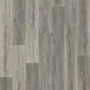 Tenacious HD+ Accent by Shaw Floors - Cavern