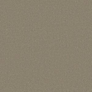 CASHMERE CLASSIC I by Shaw Floors - Spruce