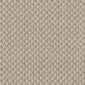 INSPIRED DESIGN by Shaw Floors - Natural Beauty