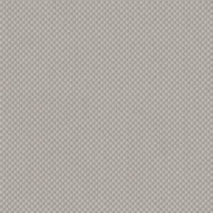 INSPIRED DESIGN by Shaw Floors - Cold Winter