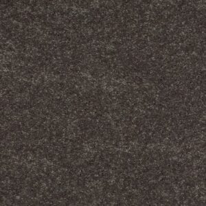 TURN THE PAGE II 12' by Shaw Floors - Charcoal