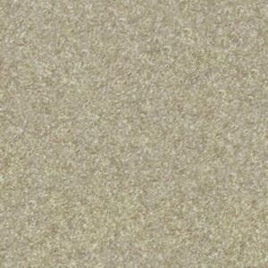 VICTORY by Shaw Floors - Adonis