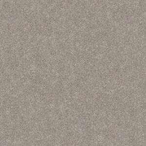 MOMENTUM I by Shaw Floors - Canopy