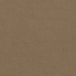 INSIGHTFUL WAY by Shaw Floors - Gold Rush
