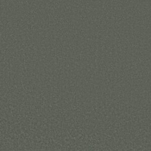 MAGIC AT LAST III 12' by Shaw Floors - Aluminum