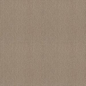 TRULY RELAXED LOOP by Shaw Floors - Latté