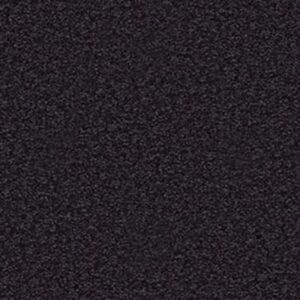 SANDY HOLLOW CLASSIC II 12 by Shaw Floors - Graphite