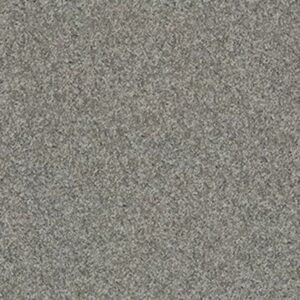 MY INSPIRATION II by Shaw Floors - Fog