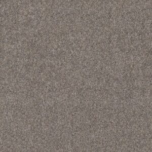 SHAKE IT UP (A) by Shaw Floors - Burnt Ash