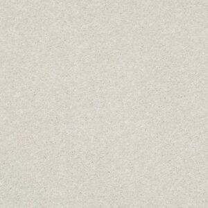 BASIC RULES by Shaw Floors - Dew
