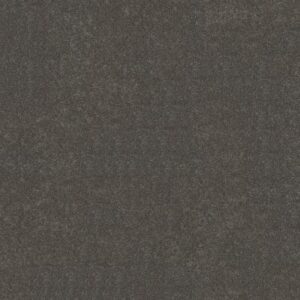 BASIC RULES by Shaw Floors - Steel
