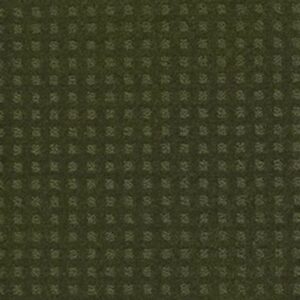 NOTTINGHAM by Shaw Floors - Kelly