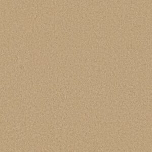 ENDURING COMFORT III by Shaw Floors - Blonde Cashmere