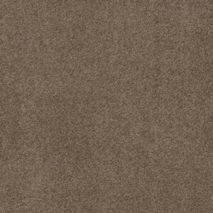 EXPLORER by Shaw Floors - Free Spirit