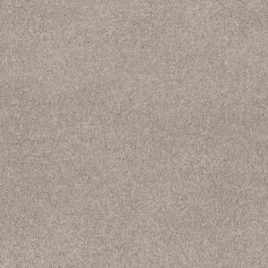 EXPLORER by Shaw Floors - Chalk