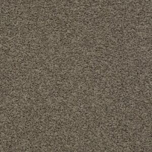 DEL MORRO by Shaw Floors - Fallen Rock