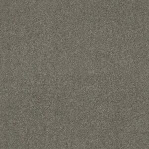 OCEAN VIEW by Shaw Floors - City Gray