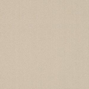 COLOR ACCENTS 18 X 36 by Philadelphia Commercial - Oatmeal