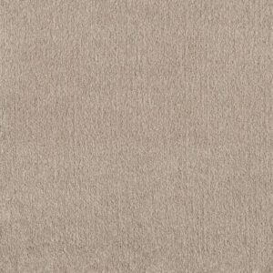 POSH LIFE by Shaw Floors - Glacier