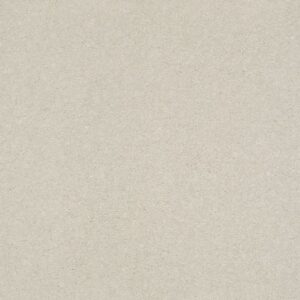 SOLIDIFY II 12' by Shaw Floors - Minimalist
