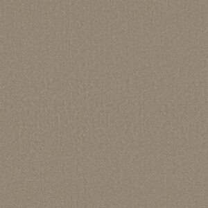 CANVAS COMFORT by Shaw Floors - Dockside View
