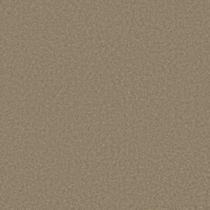 WAY TO GO I by Shaw Floors - Hidden Treasure