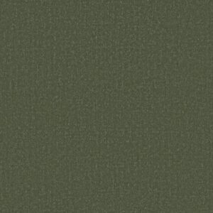 CANVAS COMFORT by Shaw Floors - Olive Grove