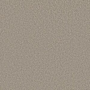 TWEED COMFORT BLUE by Shaw Floors - Got The Giggles