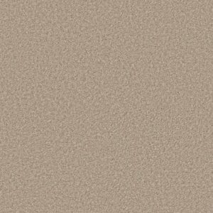 ULTRA LUSH by Shaw Floors - Bare Essential
