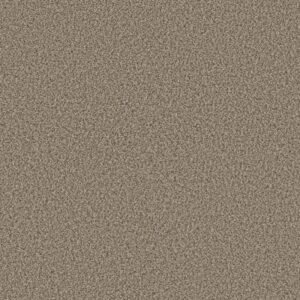 RENEWED ENERGY I by Shaw Floors - Khaki