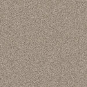 RENEWED ENERGY I by Shaw Floors - Sandstone