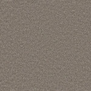 REMIXED CLASSIC by Shaw Floors - Cobble Drive