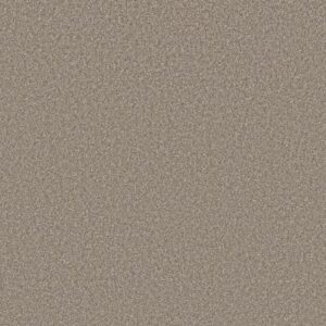 NEW ATTITUDE by Shaw Floors - Bali Sand