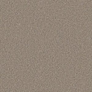 ALWAYS RIGHT II by Shaw Floors - Cork