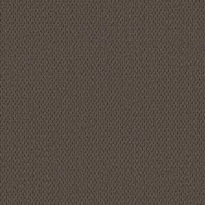 PERSPECTIVE PATH by Shaw Floors - Black Walnut