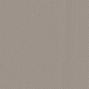 PERSPECTIVE PATH by Shaw Floors - Shell