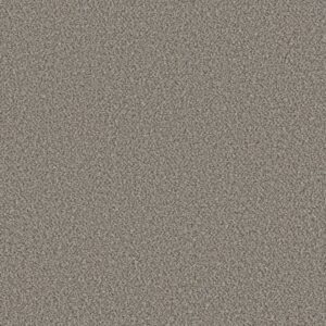 BEST YET by Shaw Floors - Tree Bark