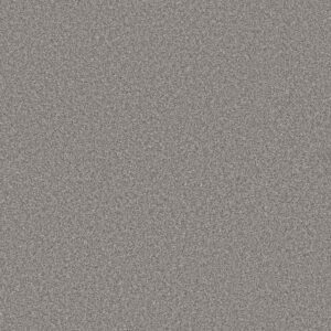 TRUSOLUTIONS I by Shaw Floors - Storm Cloud