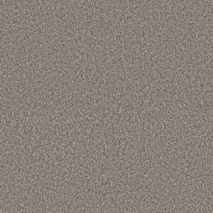 RENEWED ENERGY II by Shaw Floors - Fog