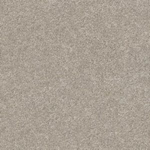 YOUR COMFORT II by Shaw Floors - Back Patio