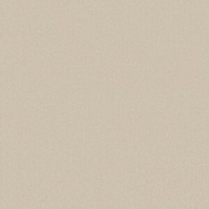 AWAKEN SPIRIT II 12' by Shaw Floors - Cream