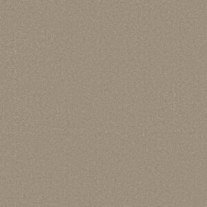 AWAKEN SPIRIT II 15' by Shaw Floors - Neutral Ground