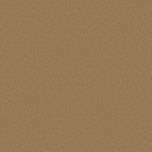AWAKEN SPIRIT I by Shaw Floors - Warm Brass