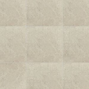 Daltile - Dignitary Notable Beige, Xterior Paver, 24X24, Textured