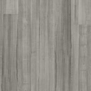 Symbiotic 5.0 by Shaw Floors - Cinders