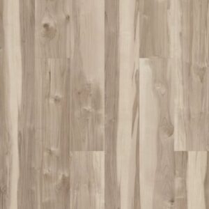 Symbiotic 5.0 by Shaw Floors - Capeview