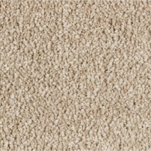 Exquisite Attraction by Mohawk - Victorian Beige